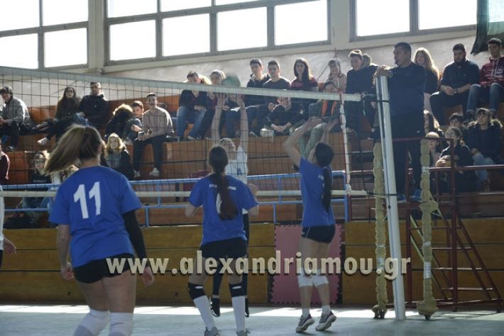volley_1o-alexandreias-melikis2018 (78)